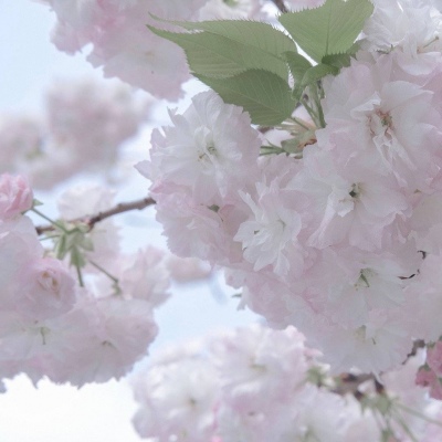 兽设原创改稿思路FurryQQ群